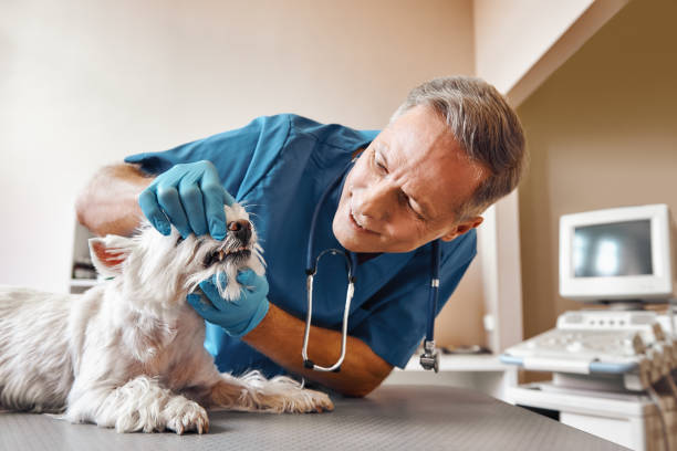 Best Emergency Tooth Extraction in Jefferson City, MO